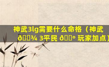 神武3lg需要什么命格（神武 🌾 3平民 🌺 玩家加点）